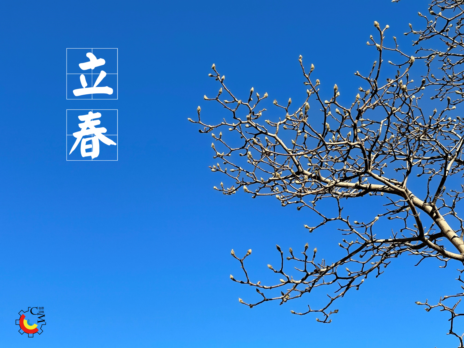 城市街道与高楼大厦 描述已自动生成